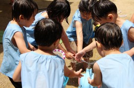 水・泥・氷あそび開始!